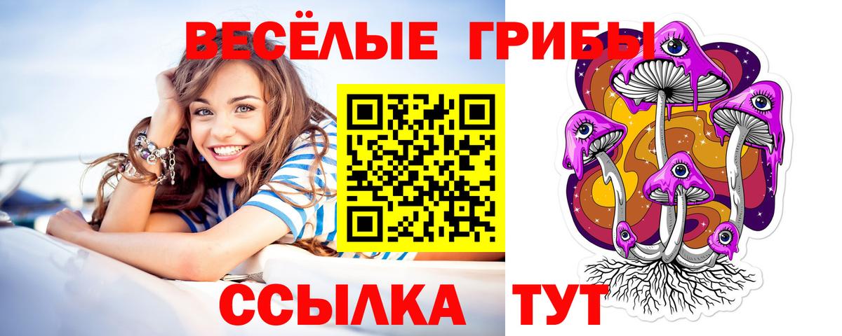 Галлюциногенные грибы Psilocybine cubensis  Вход с VPN  Псилоцибиновые грибы MAGIC MUSHROOMS  Старая Купавна 