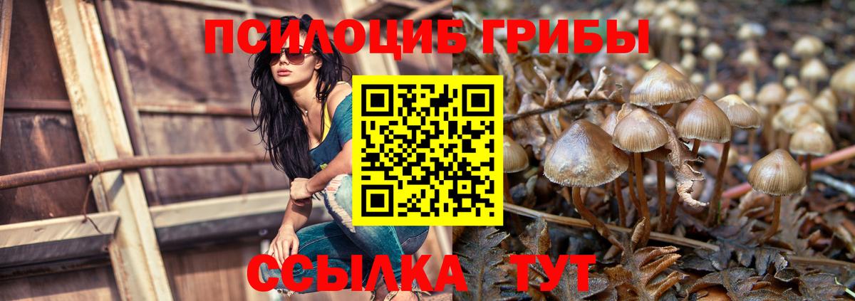 Галлюциногенные грибы мухоморы Старая Купавна